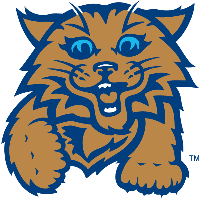 Villanova Wildcats 2004-Pres Misc Logo diy iron on heat transfer